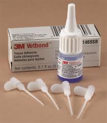Image result for Tissue Adhesive