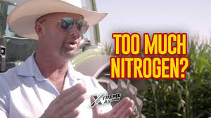 Are We Applying Too Much Nitrogen?