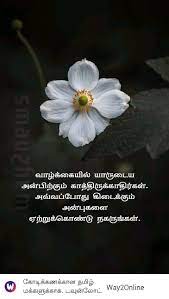 Pin By Lavanya On A Tamil Quotes Plants Flowers Dandelion