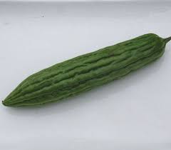 Image result for Acanthosicyos naudinianus