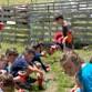 Farm Camp 3rd-5th