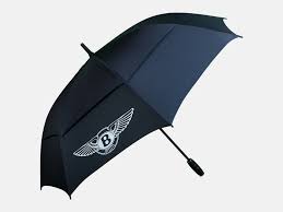 Bought this new spectre about 10 days ago. Vantablack Umbrella Umbrella Workshop