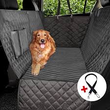 Pin On Mi Kis And Ideas For Our Puppers