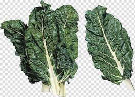 Das ist das neue ebay. Leaf Vegetable Chard Collard Greens Vegetable Lacinato Kale Watercolor Paint Wet Ink Flower Plant Spring Greens Cruciferous Vegetables Transparent Background Png Clipart Hiclipart