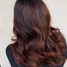 On dark hair multiple applications may be needed to provide color. 11 Auburn Hair Color Ideas And Formulas Wella Professionals