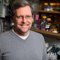 100+ "Dobens" profiles