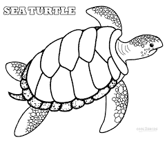 Baby sea turtles are the cutest thing. Printable Sea Turtle Coloring Pages For Kids
