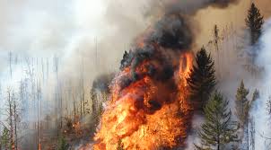 The bc wildfire service is currently responding to a wildfire (k50901) approximately 15km northeast of keremeos. Report A Wildfire Province Of British Columbia