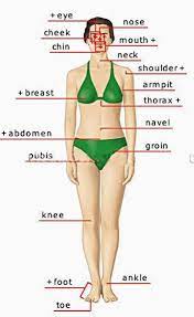 I have broken down the different body parts into sections, and given example sentences showing how. Pin On A