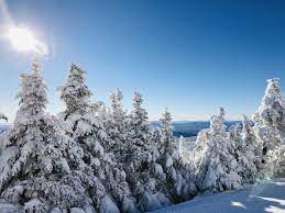 We have almost everything on ebay. Killington Snow Report November 23 Local Perspective Basin Sports