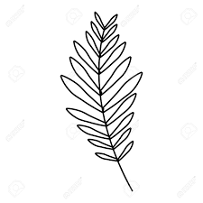 Tropical palm leaves and pineapple isolated on white background. Branch Palm Leaves Frond Natural Vector Illustration Outline Royalty Free Cliparts Vectors And Stock Illustration Image 96046805