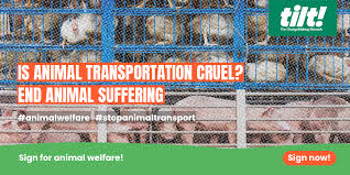 End Cruel Animal Transports Zoonoses, animal welfare, animal health,food safety,veterinary,animal disease,animal,health,animal production,bernard vallat. end cruel animal transports