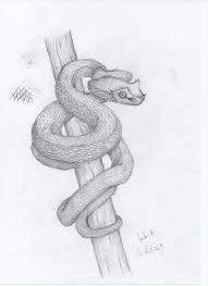 Comment Dessiner Un Serpent Dessin Serpent Dessin Croquis Animaux