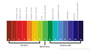 How To Ph Test Handmade Soap Properly And Why It Matters