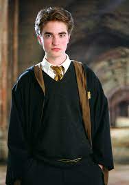 When Your Job Wants You To Be A Hufflepuff Why All Houses Matter In Advising
