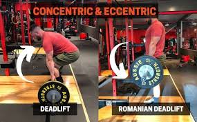 Proper deadlift form requires a straight back. Deadlift Vs Romanian Deadlift Form Benefits Differences Powerliftingtechnique Com