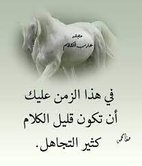 قليل الكلام كثير التجاهل arabic quotes arabic words words