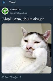 Zeynep Adli Kullanicinin Espriler Panosundaki Pin Komik Eglenceli Seyler Kedi