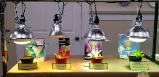 Facts and the down light myth. Halogen Grow Lights For Indoor Plants Osoris