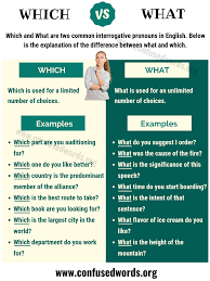 Which Vs What How To Use What Vs Which In English Confused Words English Language Learning Learn English Vocabulary English Vocabulary