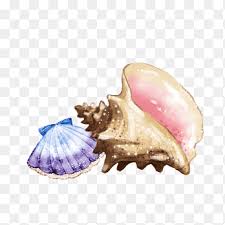 Check spelling or type a new query. Brown Snail Illustration Watercolor Painting Drawing Seashell Conch Pencil Eggshell Png Pngegg