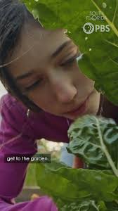 Tips to Start a Vegetable Garden from the Urban Farming Institute #shorts