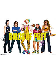 Pin On Birds Of Prey