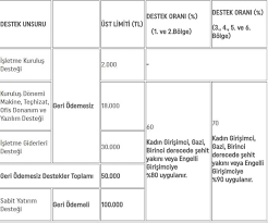 3 girişimciliği geliştirme destek programı. Kosgeb Seyahat Acentalari Destegi 2018 Sartlari Nelerdir