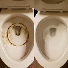 First, try the green route! 18 Things That Actually Make Cleaning Toilets Incredibly Easy