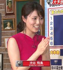 渋谷飛鳥 ノースリブニットのデカ乳 【お宝キャプ画像｜セクシーテレビジョン】