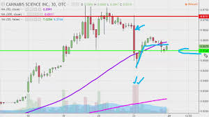 Cannabis Science Inc Cbis Stock Chart Technical Analysis For 10 21 16