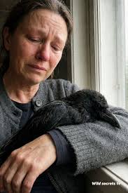 When rescuers found Debbie—a 40-year-old parrot—she was barely holding on.  After her longtime owner passed away, Debbie spent two long, silent weeks  alone in the house. No food, no voice, no companionship—just