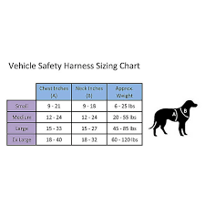 Maybe you would like to learn more about one of these? Top Paw Travel Dog Harness Dog Harnesses Petsmart