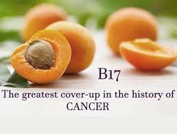 Vitamin b17 occurs in foods but is not a true vitamin. Vitamin B17 Cures Cancer True Or False Oudtshoorn Courant