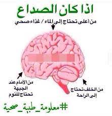 معلومات health facts health and nutrition health fitness nutrition