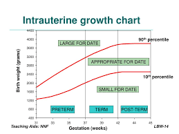 Ppt Management Of Low Birth Weight Babies Powerpoint