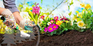 Maybe you would like to learn more about one of these? 5 Tips To Follow When Installing A Flower Garden Cmg