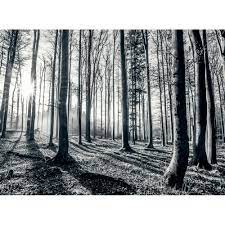 Great prices, excellent customer service. Black And White Tree Wallpaper Forest Mural Wallpaper 1wall