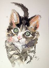 Weitere ideen zu aquarell kunst bad birnbach und aquarell. Little Cat Canvas Print By Kovacsannabrigi Watercolor Cat Cat Painting Watercolor Art
