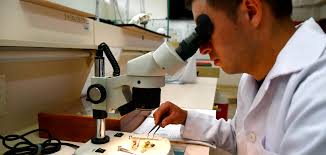 Universidad Estatal Amazónica