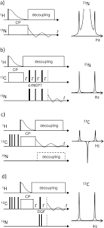 1 h/ 15 n inept. Experimental Strategies For 13 C 15 N Dipolar Nmr Spectroscopy In Liquid Crystals At The Natural Isotopic Abundance Physical Chemistry Chemical Physics Rsc Publishing Doi 10 1039 C8cp04161j