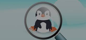 Trying duplicating pet hacks 2020! Spot The Penguin Quiz Quizdiva Penguins Quiz Spots