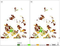 The most common korean pine tree material is shell. Remote Sensing Free Full Text Machine Learning For Tree Species Classification Using Sentinel 2 Spectral Information Crown Texture And Environmental Variables Html
