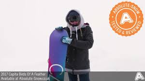Capita Birds Of A Feather 2020 Review 2016 2017 Capita Birds Of A Feather Snowboard Video Review Youtube
