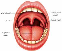 علاج الحساسية الصدرية عند الكبار. Herbal Medicine Plus Ø·Ø±ÙŠÙ‚Ø© Ø³Ø­Ø±ÙŠØ© Ù„Ø¹Ù„Ø§Ø¬ Ø§Ù„ØªÙ‡Ø§Ø¨ Ø§Ù„Ù„ÙˆØ²ØªÙŠÙ† Ø¹Ù†Ø¯ Ø§Ù„ÙƒØ¨Ø§Ø± ÙˆØ§Ù„Ø§Ø·ÙØ§Ù„ ÙÙ‰ ÙŠÙˆÙ… ÙˆØ§Ø­Ø¯