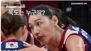 조이풀(JOYFULL) 이미지