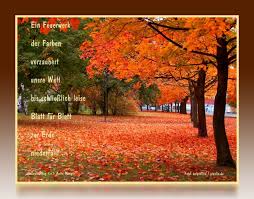 Herbstgedichte Meine Gedichte Zur Herbstzeit