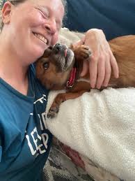 Good morning, my heart is light this morning- many inquiries for  availability of Pearl's precious pups. I'm up early, as always, it's 4:24am  and I'm drinking my coffee and reading messages that