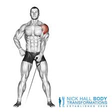 Sit on a bench, holding a dumbbell in each hand. Shoulder Exercises Personal Trainer In Port Melbourne Nick Hall Body Transformationspersonal Trainer In Port Melbourne Nick Hall Body Transformations