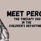 Meet Percy the Therapy Dog event in Lynn, MA